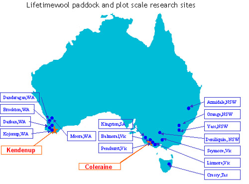 Lifetimewool paddock and plot scale research sites